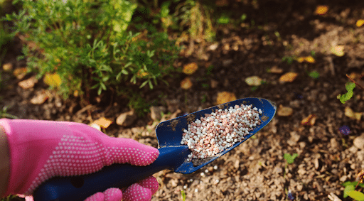 Comment Cr Er De L Engrais Naturel Pour Votre Jardin